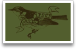 Lorem Ipsum Bird