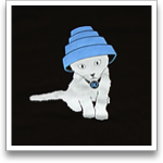 Kitten 1980