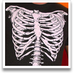 Skeleton